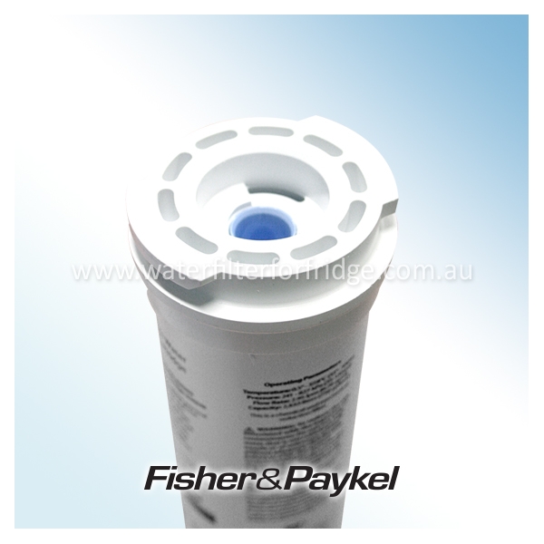 fisher paykel model e442b manual